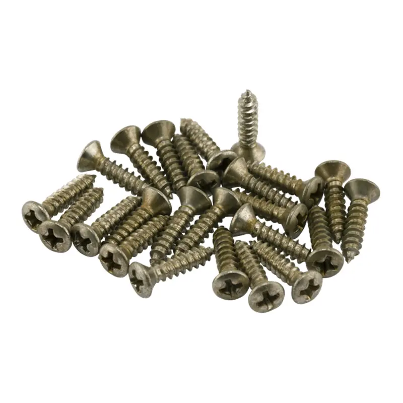 Fender 24 Road Worn Pickguard Control Plate Screws