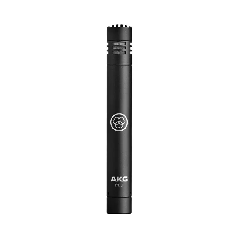 AKG P170 Instrumental Microphone