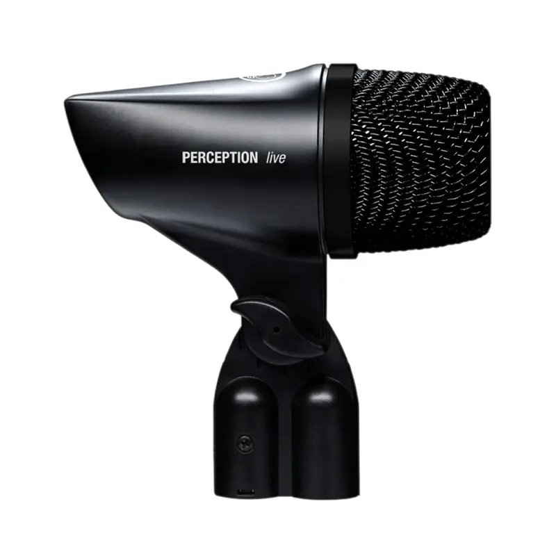 AKG P2 Bass Instrument Microphone