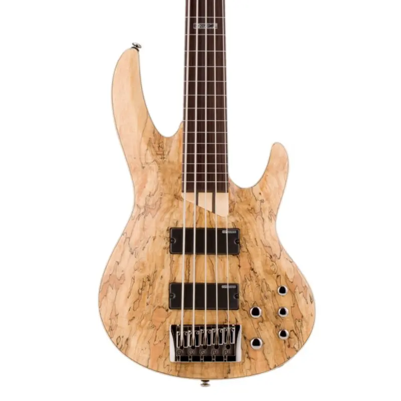 ESP LTD B-205SM 5-String Fretless Bass Guitar - Natural Satin