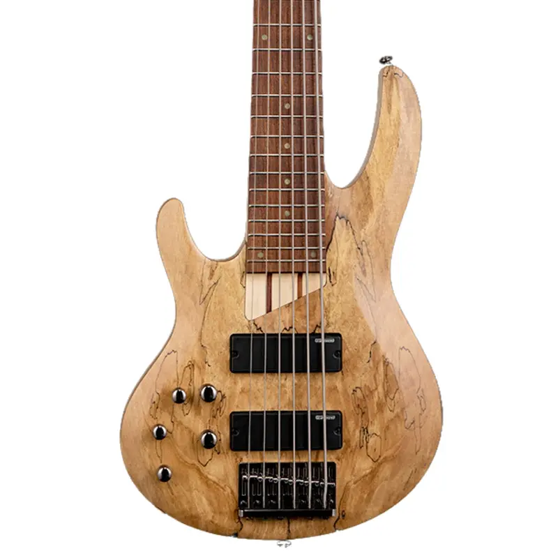 ESP LTD B-206SM 6-String Left-Handed Bass Guitar - Natural Satin