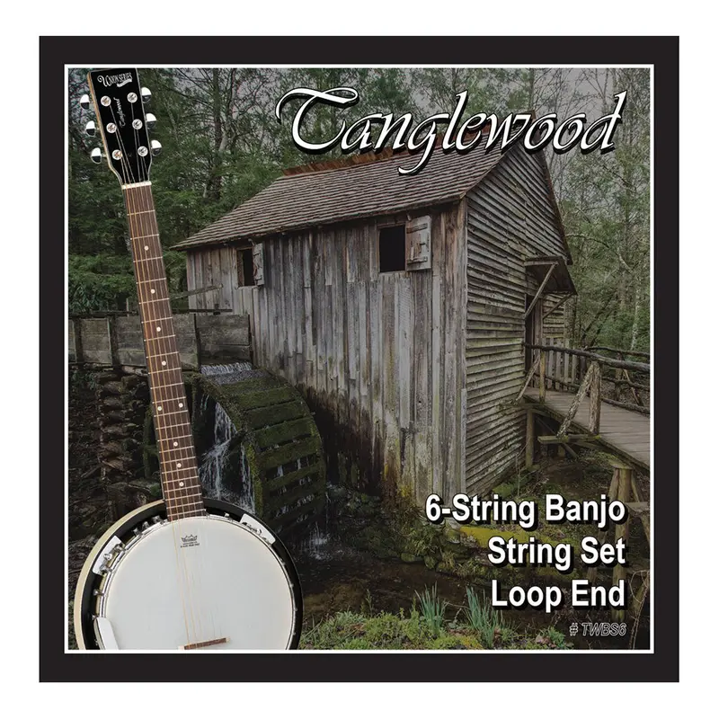 TANGLEWOOD TWBS6 BANJO 6-STRING SET - LOOP END