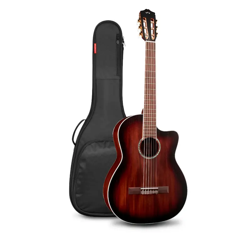Cordoba C4-CE Nylon-String Classical Acoustic-Electric Guitar With Bag