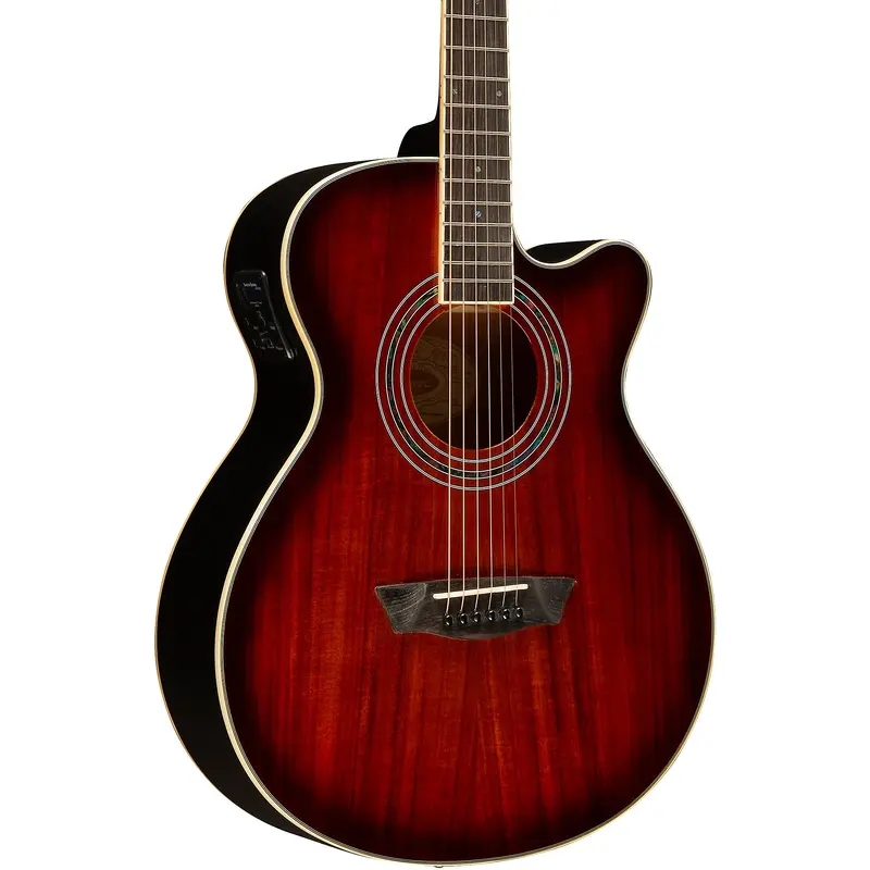 Washburn EA55G-A Festival Acoustic-Electric Guitar