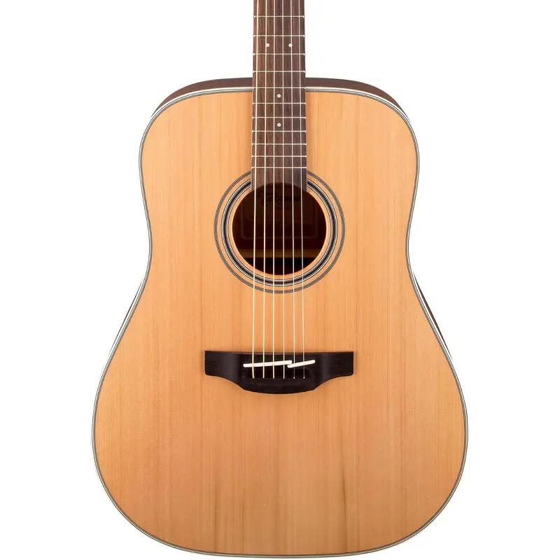 Takamine G Series GD20 Dreadnought Solid Top Acoustic Guitar
