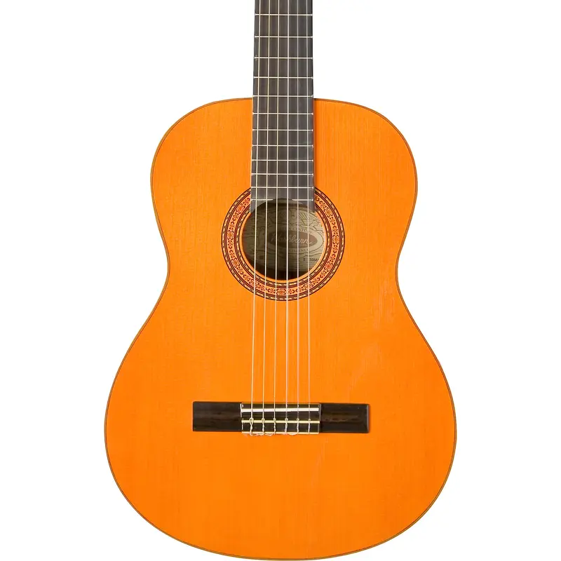 Washburn Classical Acoustic Guitar