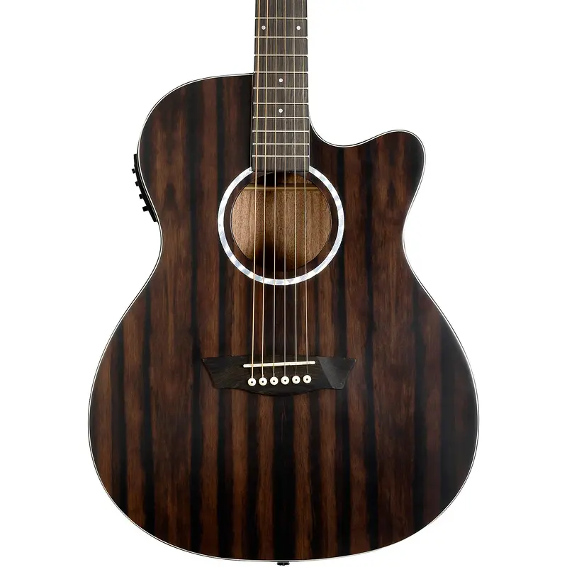 Washburn Deep Forest Ebony ACE Acoustic-Electric Guitar