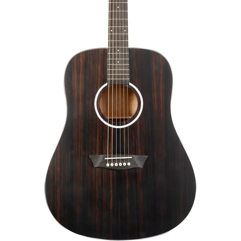 Washburn Deep Forest Ebony D Acoustic Guitar