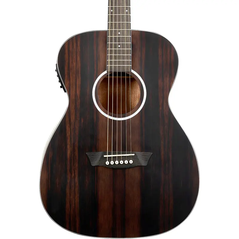 Washburn Deep Forest Ebony FE Acoustic-Electric Guitar