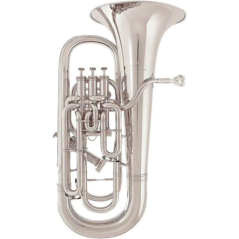 Willson 2900TA Large Shank Series Compensating Euphonium
