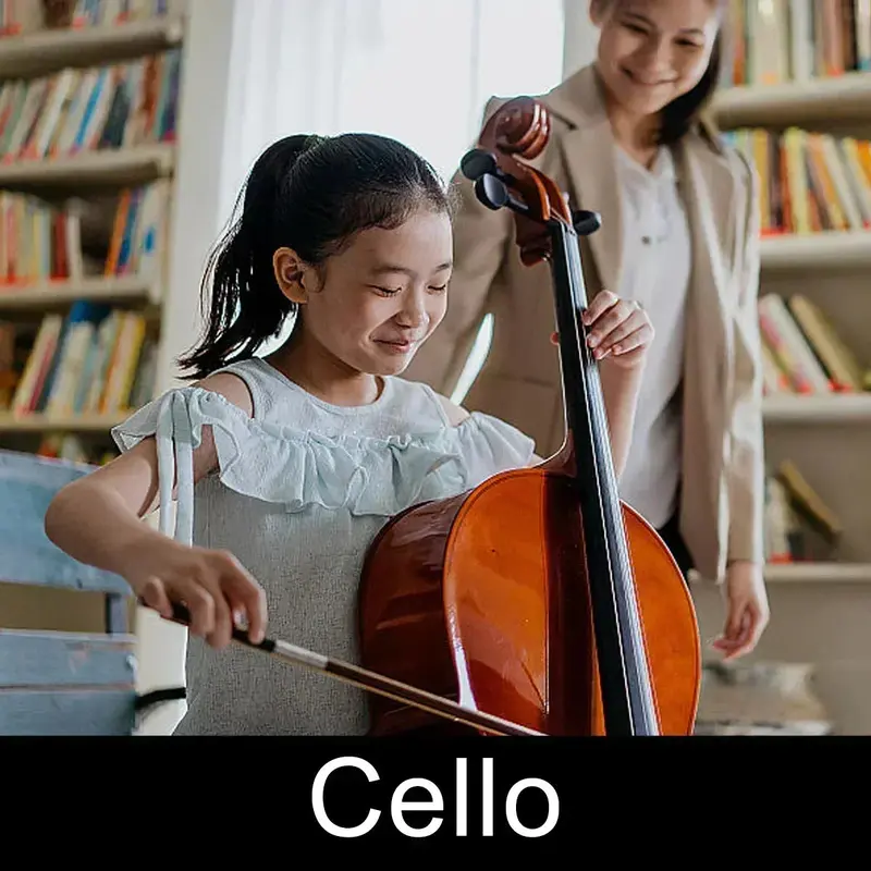 Violin & Cello 45 Mins Lesson Gr5   Advance 20 Package